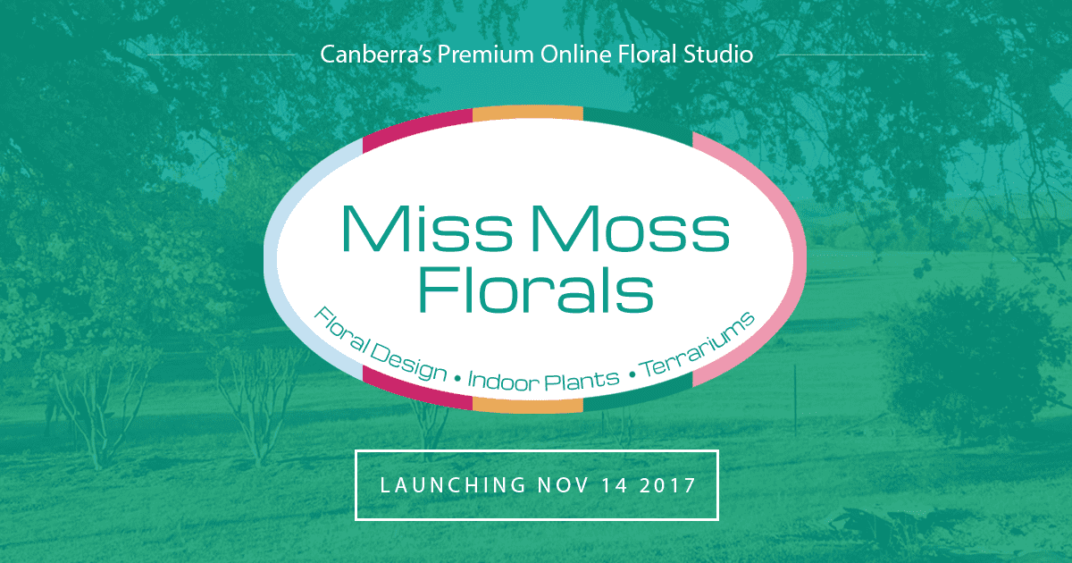 Miss Moss Floral site Canberra website design Zenneo Design